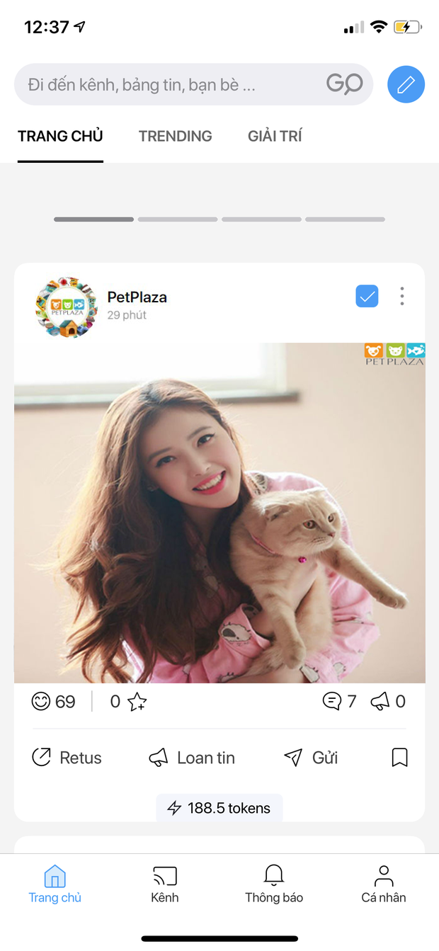 Mạng xã hội Lotus và Phụ kiện thú cưng Pet Plaza