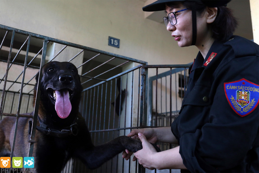 Nữ cảnh sát cở động huấn luyện chó Béc Bỉ tên Ky