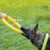 Vòng cao su đồ chơi huấn luyện tập cắn cho chó